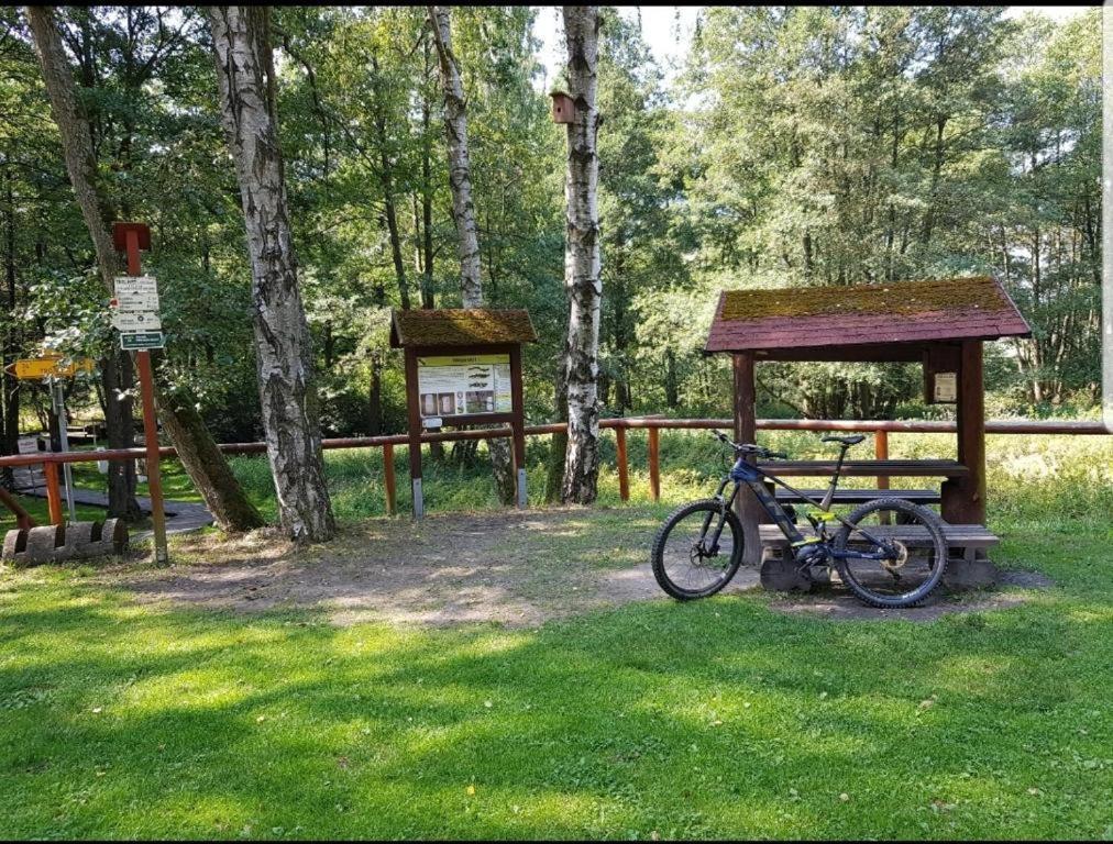 Landgasthof Gruener Baum Regnitzlosau Eksteriør billede