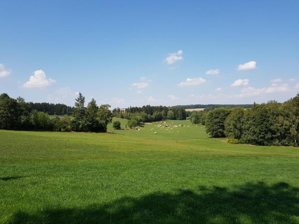 Landgasthof Gruener Baum Regnitzlosau Eksteriør billede